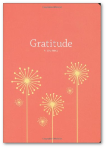 Buy Catherine Price's book, Gratitude: A Novel