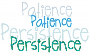 patience persistence