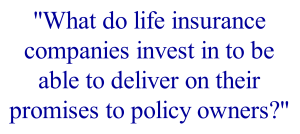 What do life insurance companies invest in to be able to deliver on their promises to policy owners?