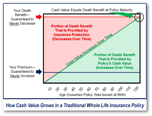 Whole Life Policy dividend paying whole life insurance ...