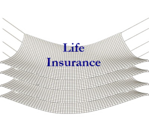Life Insurance Safety Net