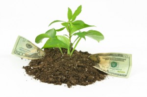 Seed Money Seed Money