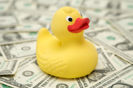 rubber duck in a sea of cash