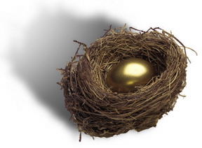 Nest Egg nest